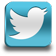 DSE ITALIA su Twitter